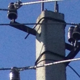 Солнечногорский район. Подключение к электрическим сетям.