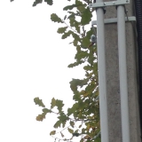 Новая Москва.Сельское поселение Воскресенское.Технологическое присоединение .