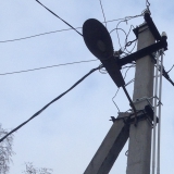 Мытищинский район Федоскинское с.п. Технологическое присоединение участка к электросетям.