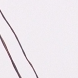 Электромонтаж трубостойки под ключ в городе Истра