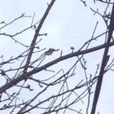 Монтаж вру 15 квт 380 в на трубостойке в деревне Заречная Слобода Можайского района