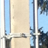 Технические условия выполнялись в Пушкинском районе. Счетчик на улице на столбе.