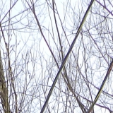 Подключение электричества происходила в поселке Горбольницы №45 Одинцовского района