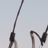 Трубостойка для электричества. Производили монтаж в деревне Новощаково Клинского района