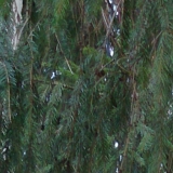 Трубостойка установлена в сельское поселение Лозовское Сергиево-Посадском районе