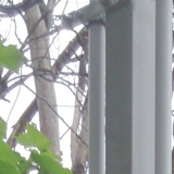 Установка трубостойки в городском поселении Пересвет Сергиево-Посадском районе