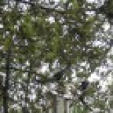 Гришино Дмитровский район. Установка стандартной трубостойки